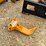 caterpillar-303-image-2