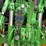 2024-john-deere-6r-175-image-13