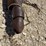 l2--small-utility-trailer-8'x5'-image-9
