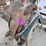 sl---saddle-&-stand-image-5