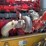 2023-peterbilt-389-image-30