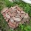 #24164-•-landscaping-blocks-image-6