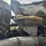 2011-kenworth-t660-image-62