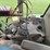 john-deere-6430-image-45
