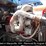 2010-kenworth-t660-image-3