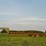 #4010-•-2003-pj-gooseneck-trailer-image-1