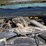 2013-ford-f350-image-22