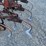 #4017-•-international-6-row-cultivator-image-7