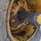 vermeer-605m-image-39