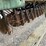 john-deere-8250-image-6