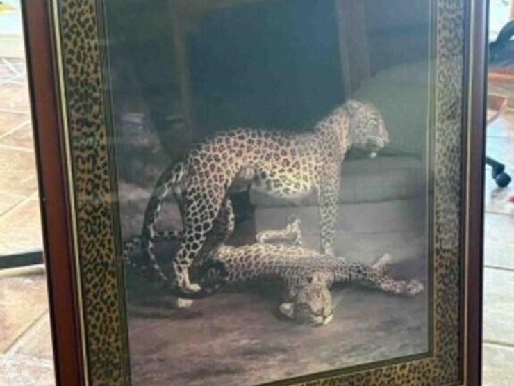 large-leopard-wall-picture-image-1