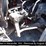 2010-kenworth-t660-image-2