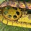 john-deere-40-image-18
