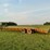 #4010-•-2003-pj-gooseneck-trailer-image-3