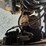 2011-ford-f550-image-20