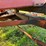 richardton-770-image-15