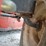 kubota-g1900-image-32