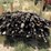 l3--200-6'-t-posts-image-2