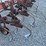 #4017-•-international-6-row-cultivator-image-6