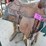 sl---saddle-&-stand-image-7