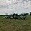 2012-krone-easy-collect-753-image-1