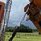 2019-kenworth-t880-image-15