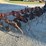 #4017-•-international-6-row-cultivator-image-4