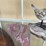 crystals-and-birds-image-3