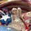 holiday-collectibles-in-basket-image-4