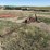 case-ih-1300-image-3
