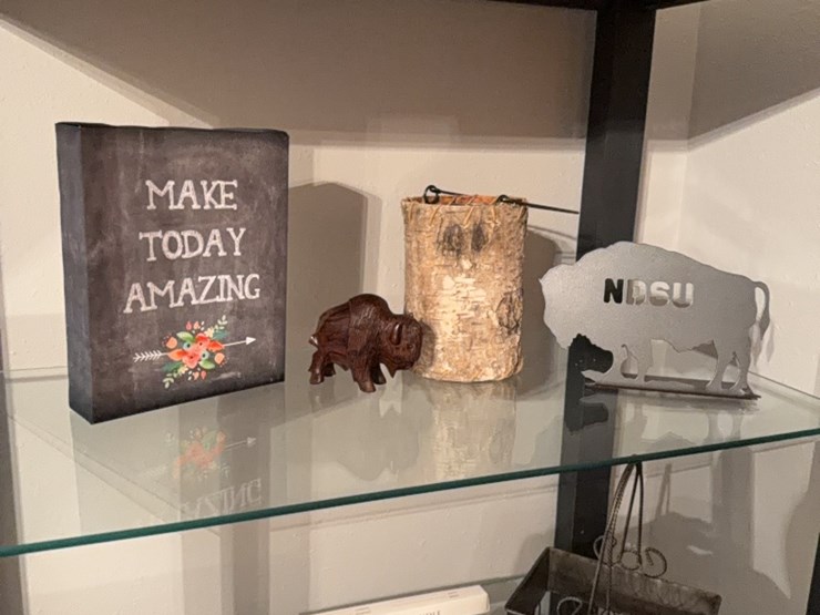 ndsu-buffalo,-and-other-items-image-1
