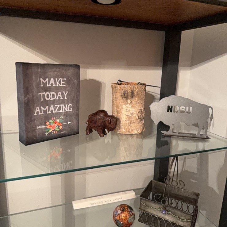 NDSU Buffalo, and other items