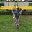 aerway-12'-pull-areator-image-25