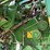 john-deere-9500-image-16