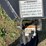 2022-nexhaul-14ft-dump-trailer-with-roll-tarp.-image-16