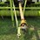 claas-rollant-250rc-image-17