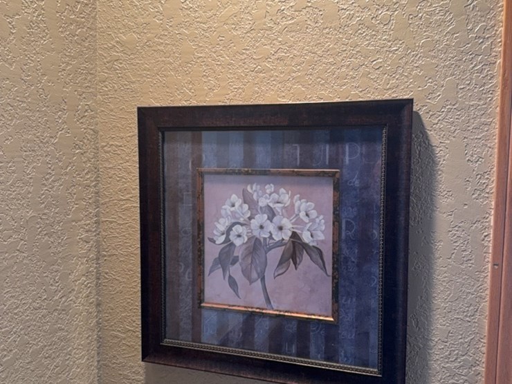 pair-of-matching-pictures-image-2