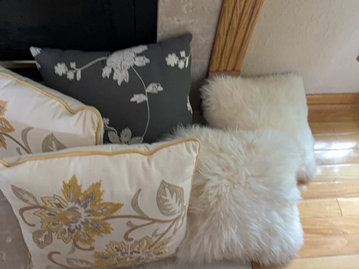 (5)-decorative-pillows-image-4