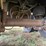2019-aulick-48ft-semi-live-bottom-belt-trailer-image-35