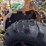 2020-john-deere-4052r-image-21