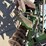 john-deere-630-image-6