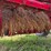 case-ih-8420-image-20