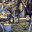 new-holland-tn65d-image-34