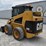 caterpillar-246-image-15