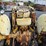 massey-ferguson-20-image-14