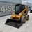 caterpillar-246-image-10