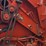 hesston-846a-image-23