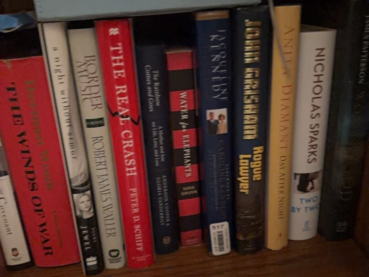 book-collection,-this-lot-includes-everything-on-bookshelf-image-11