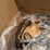 brand-new,-unused-unopened-light-fixture,-modern-style,-see-photos-image-7