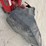 case-ih-md82-image-7
